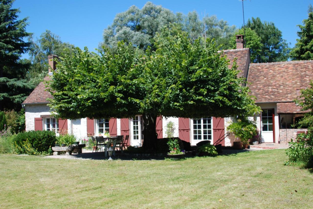 La Petite Marguerite Bed & Breakfast Chitenay ภายนอก รูปภาพ