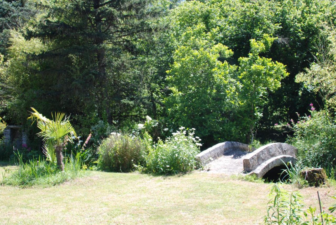 La Petite Marguerite Bed & Breakfast Chitenay ภายนอก รูปภาพ