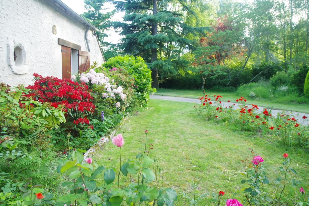 La Petite Marguerite Bed & Breakfast Chitenay ภายนอก รูปภาพ