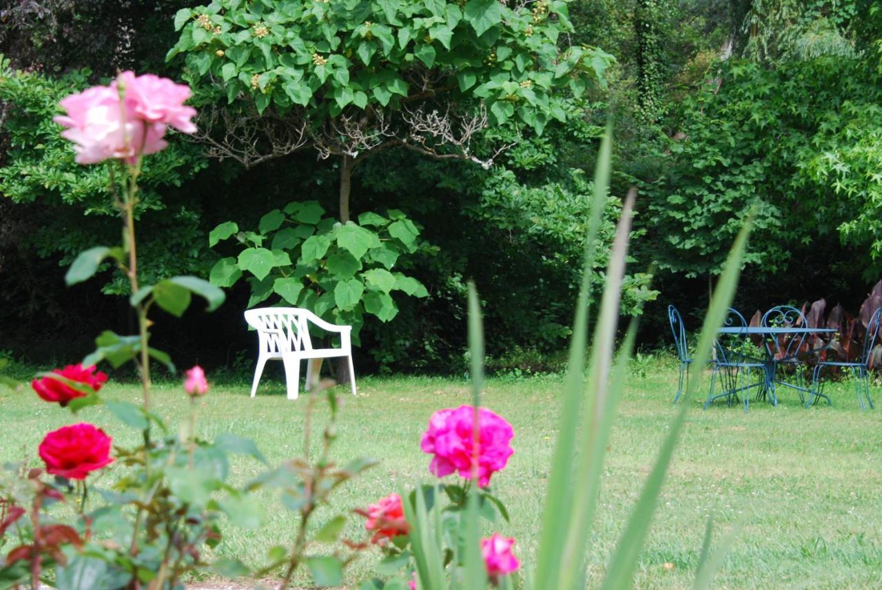 La Petite Marguerite Bed & Breakfast Chitenay ภายนอก รูปภาพ