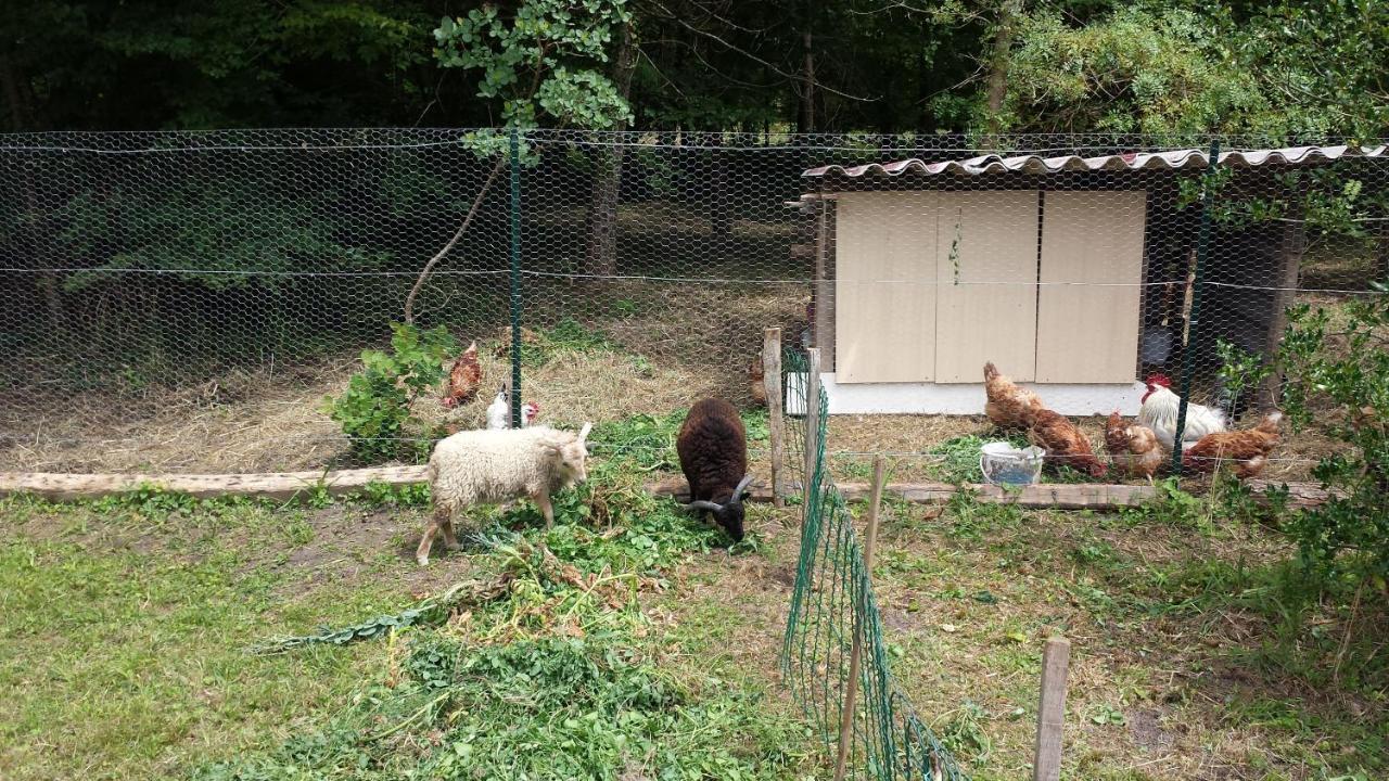 La Petite Marguerite Bed & Breakfast Chitenay ภายนอก รูปภาพ
